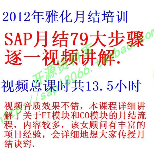 SAp月结79大步骤视频