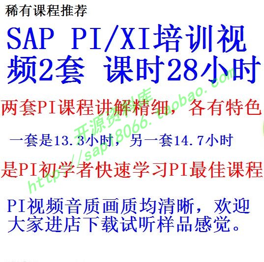2套SAP PI/XI视频
