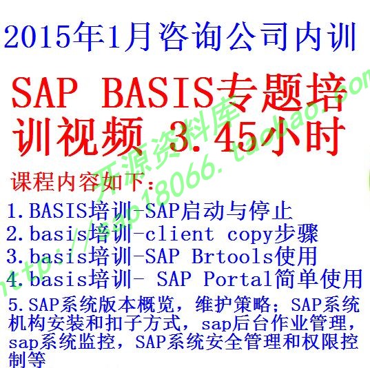 汉得basis专题内训3.45小时