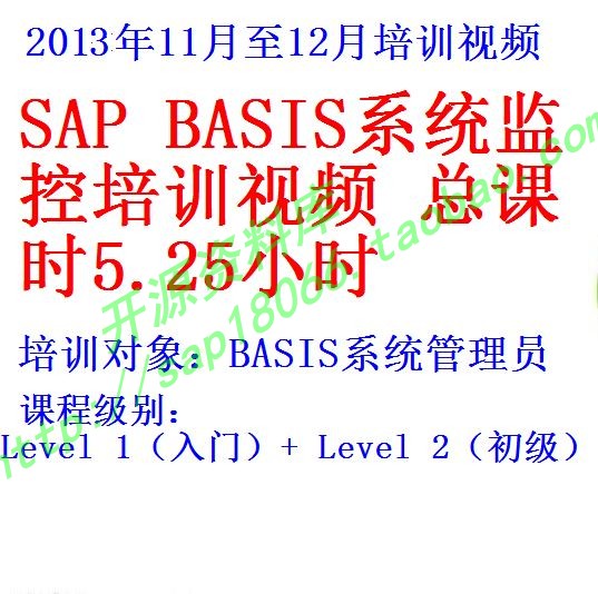 basis监控视频