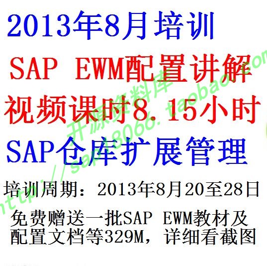 SAP EWM配置视频