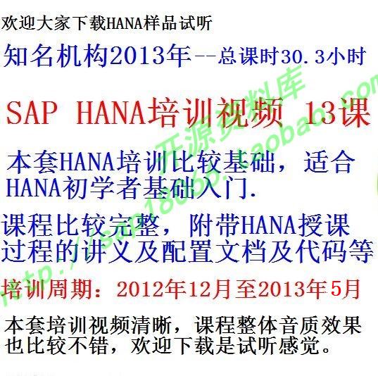 hana13课培训视频