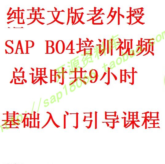 bo4英文9小时